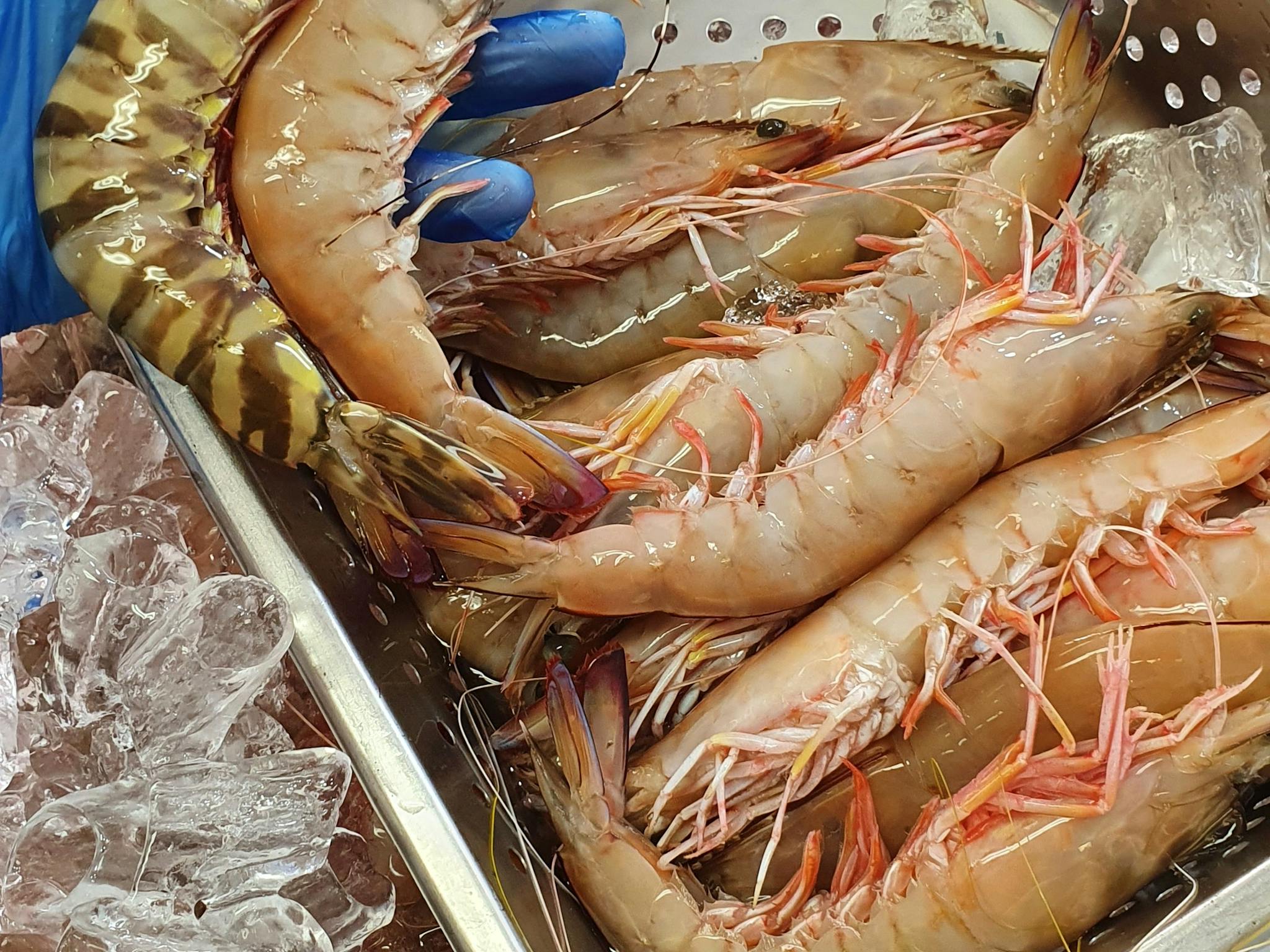 Green prawns