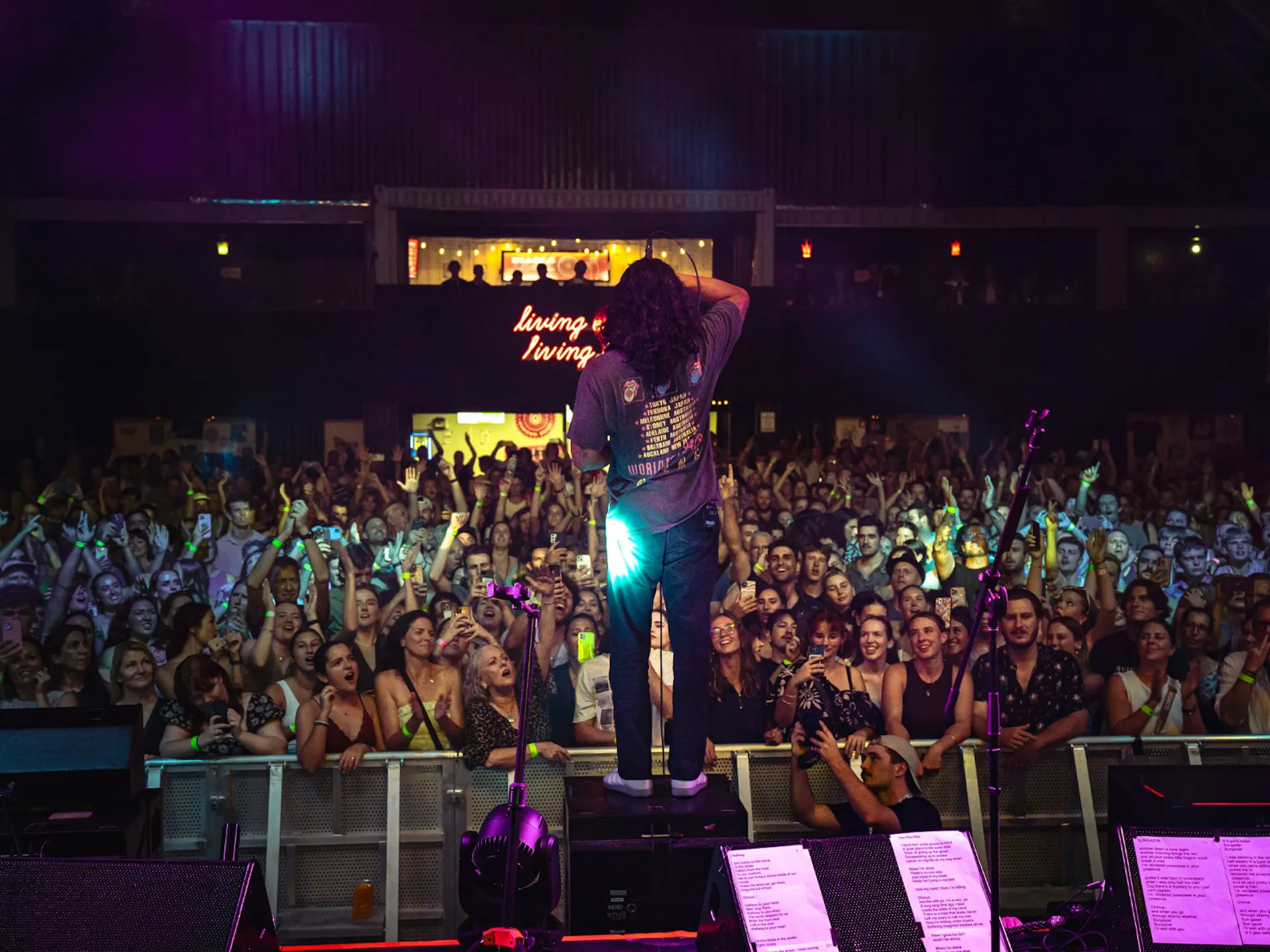 Live shot of a singer on stage, in front of a large crowd