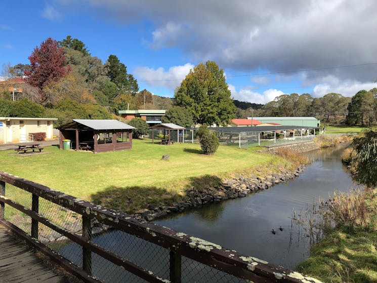 A view of Dutton Trout Hatchery's Picnic Area over looking the Serpentine River from the Foot Bridge