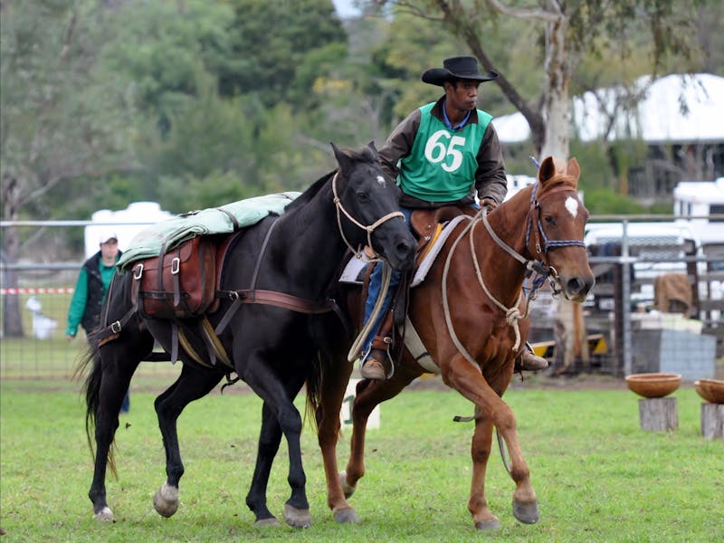 King of the Ranges Stockman's Challenge and Bush Festival Sydney