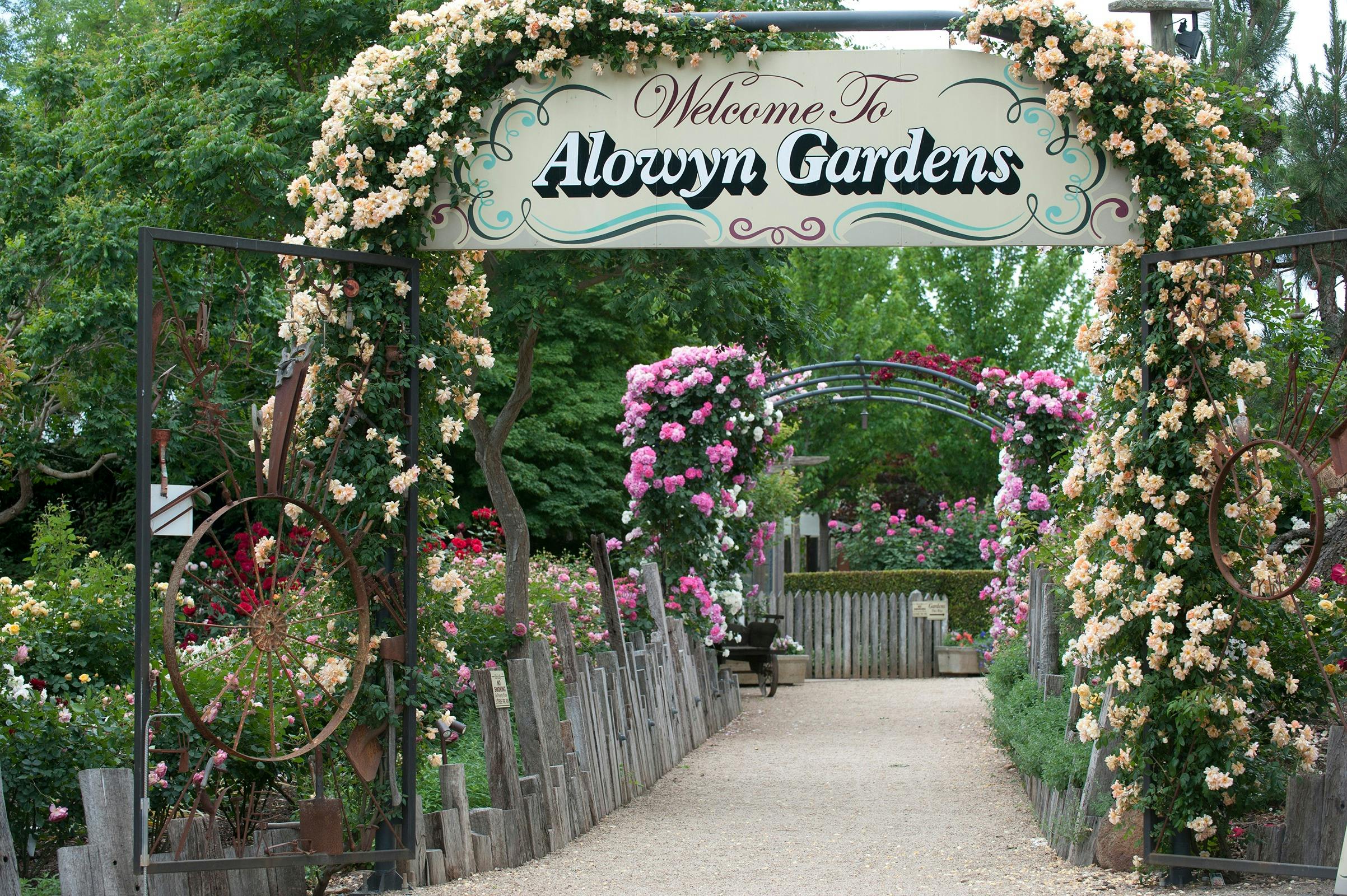 Alowyn Gardens and Nursery