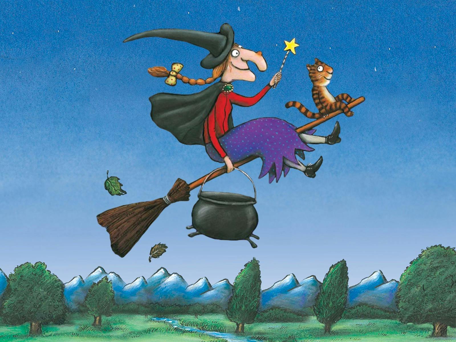 room on the broom