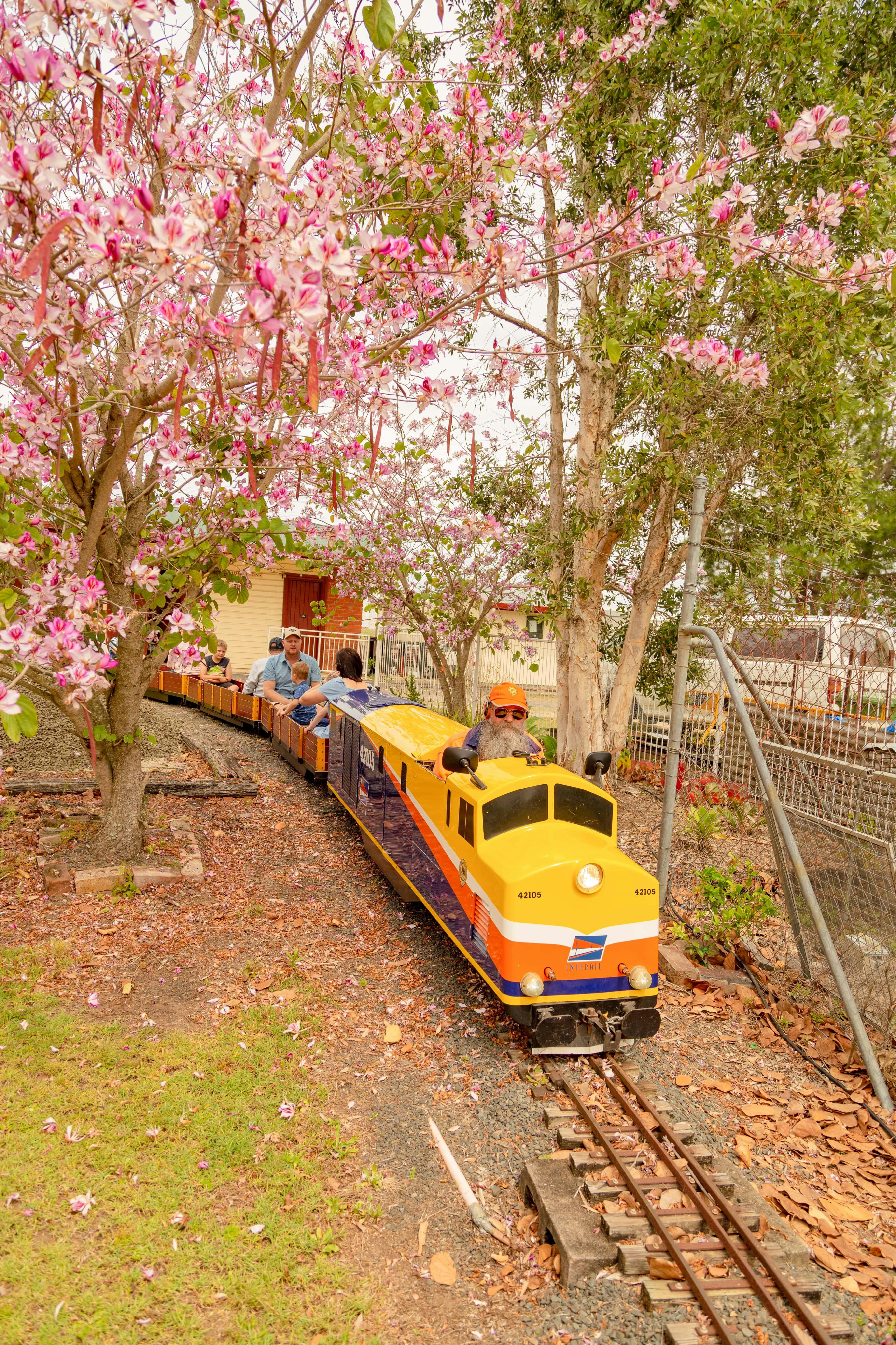 Family on miniature train.