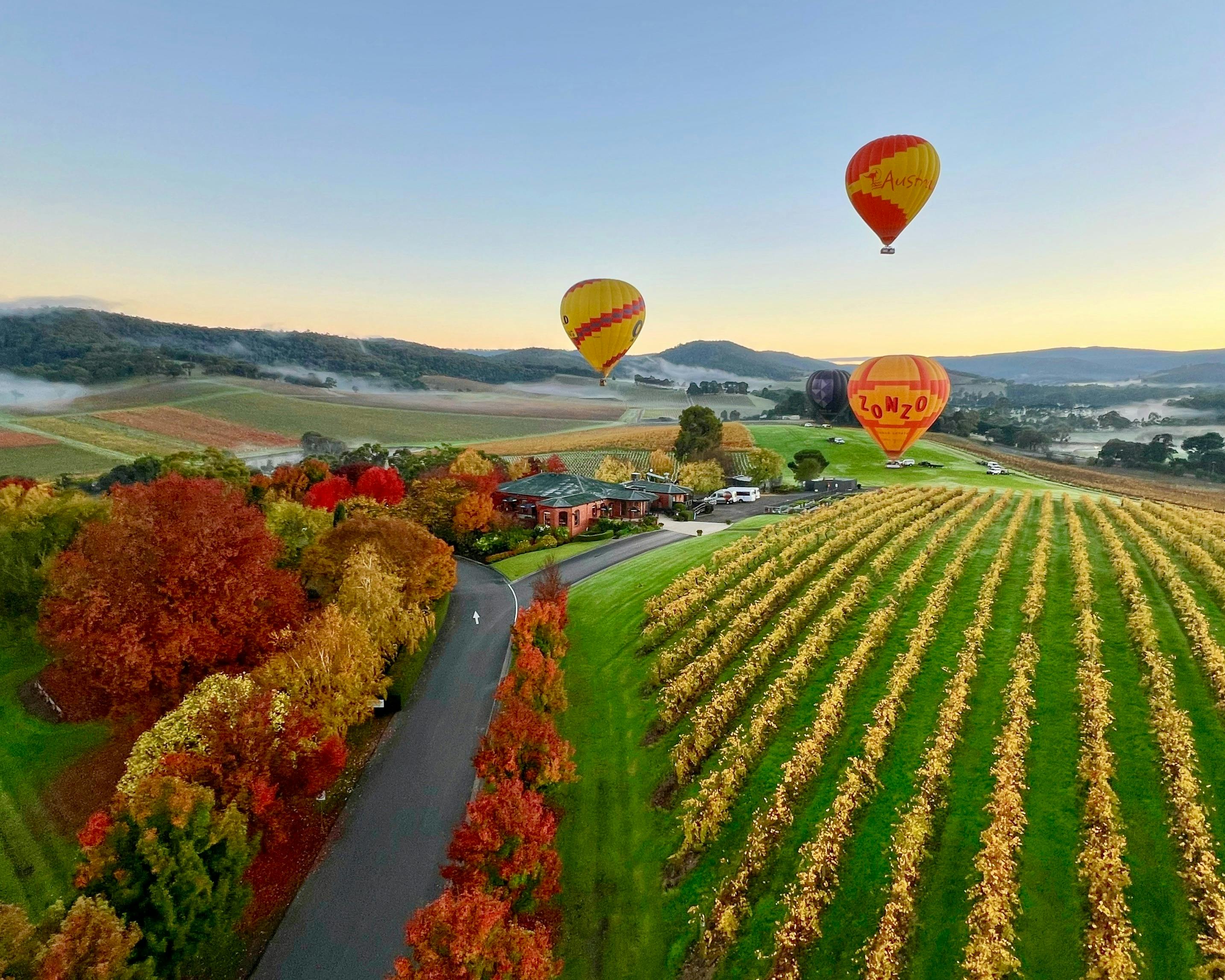 Save $108 on Global Ballooning's Flight and Breakfast