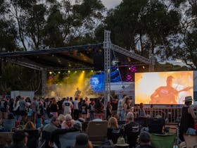 Caltowie Chilled Out 'n' Fired Up Music Festival view of crowd at night facing stage