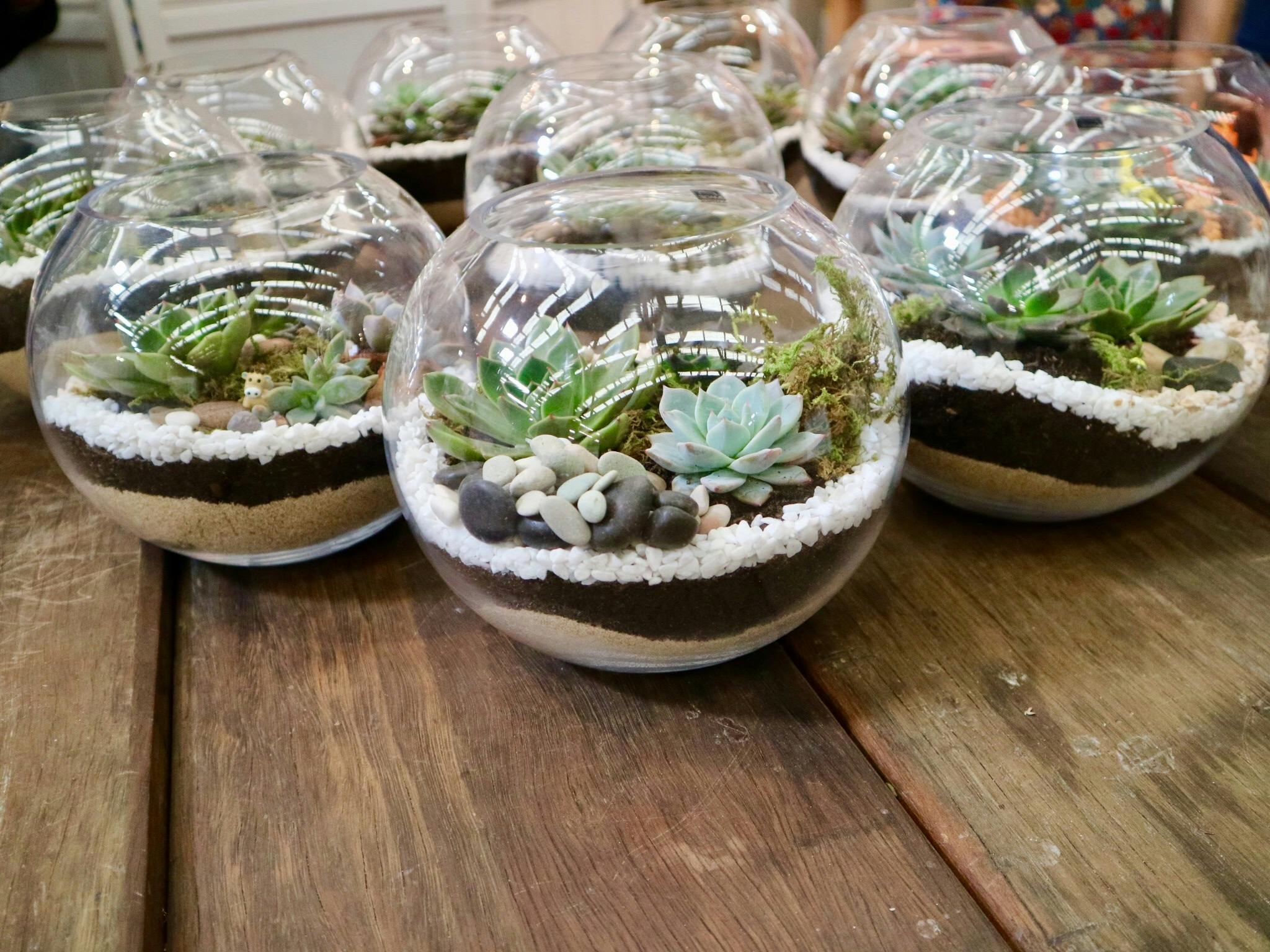 Terrarium Building Workshop: Bring some lush greenery 