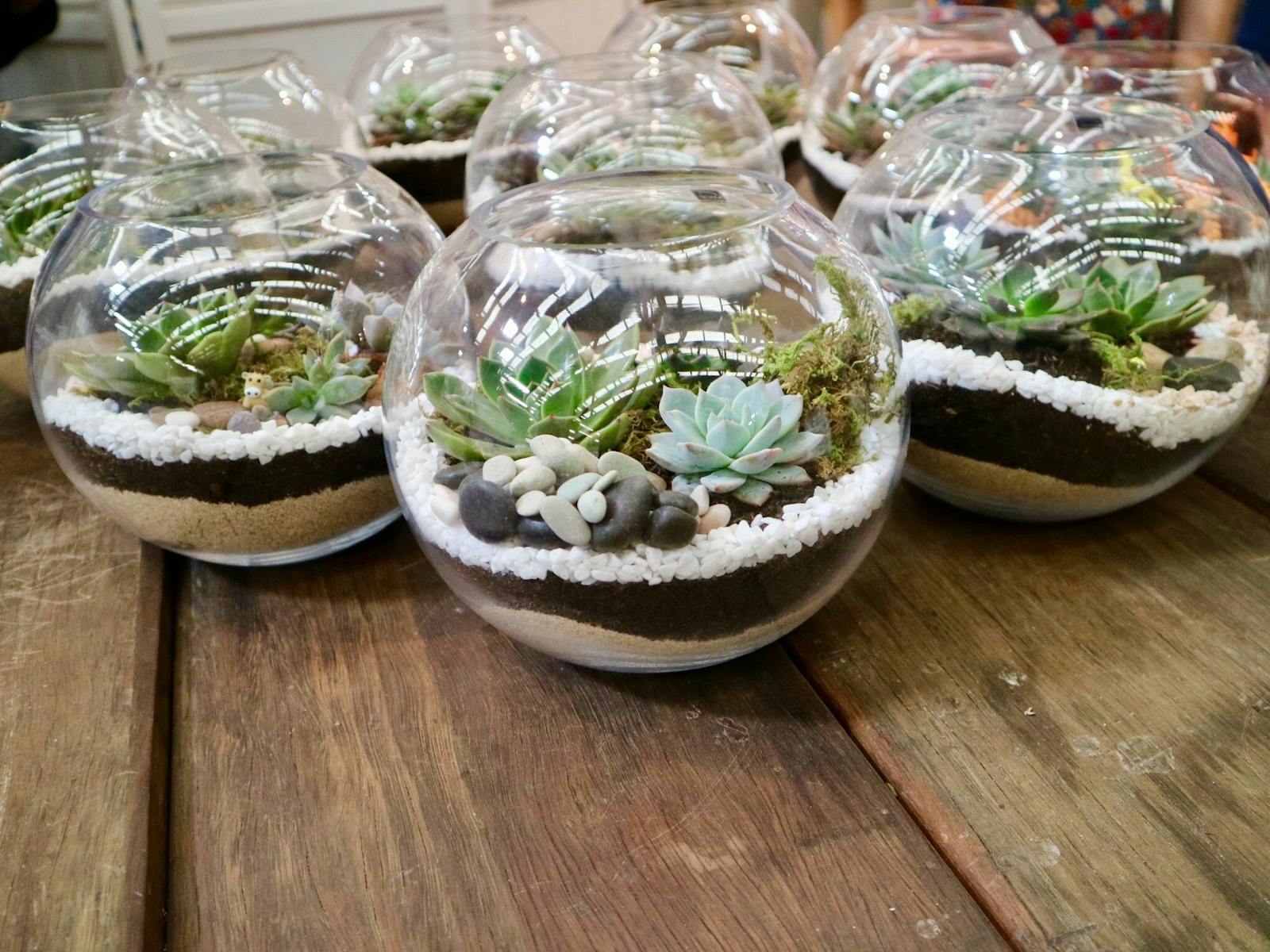 Image for Terrarium Building Workshop: Bring some lush greenery indoors