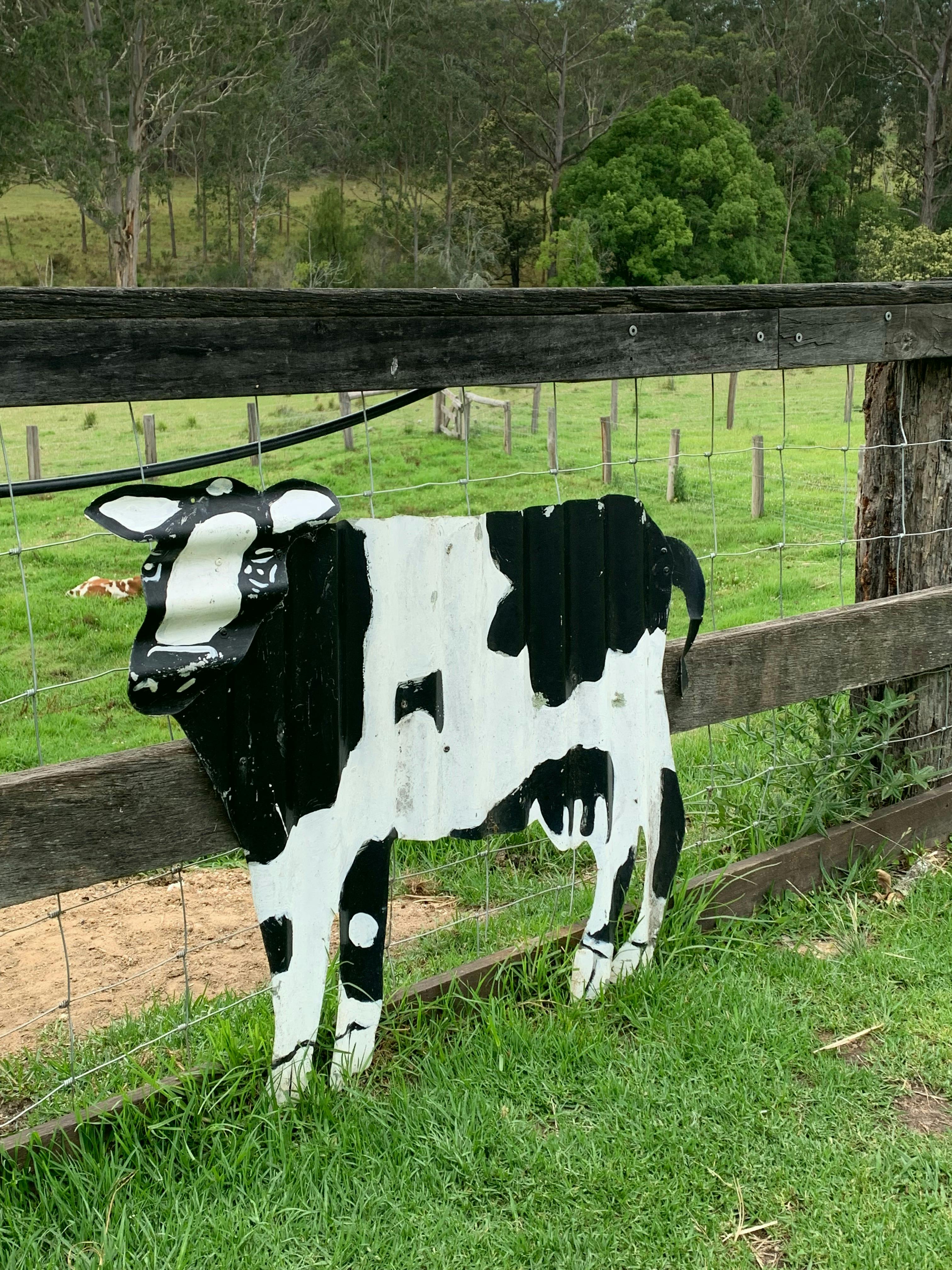 Bodalla Guided Walking Tour