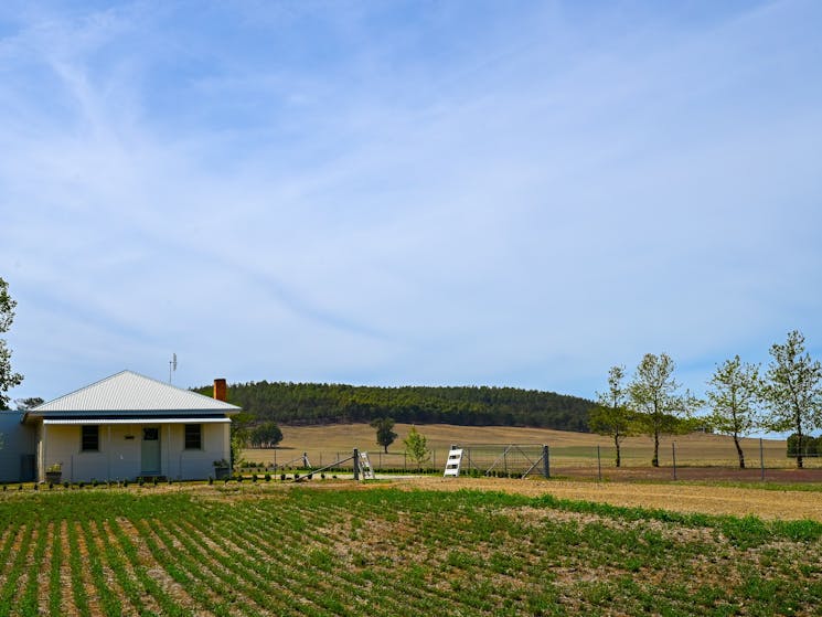 Rural setting