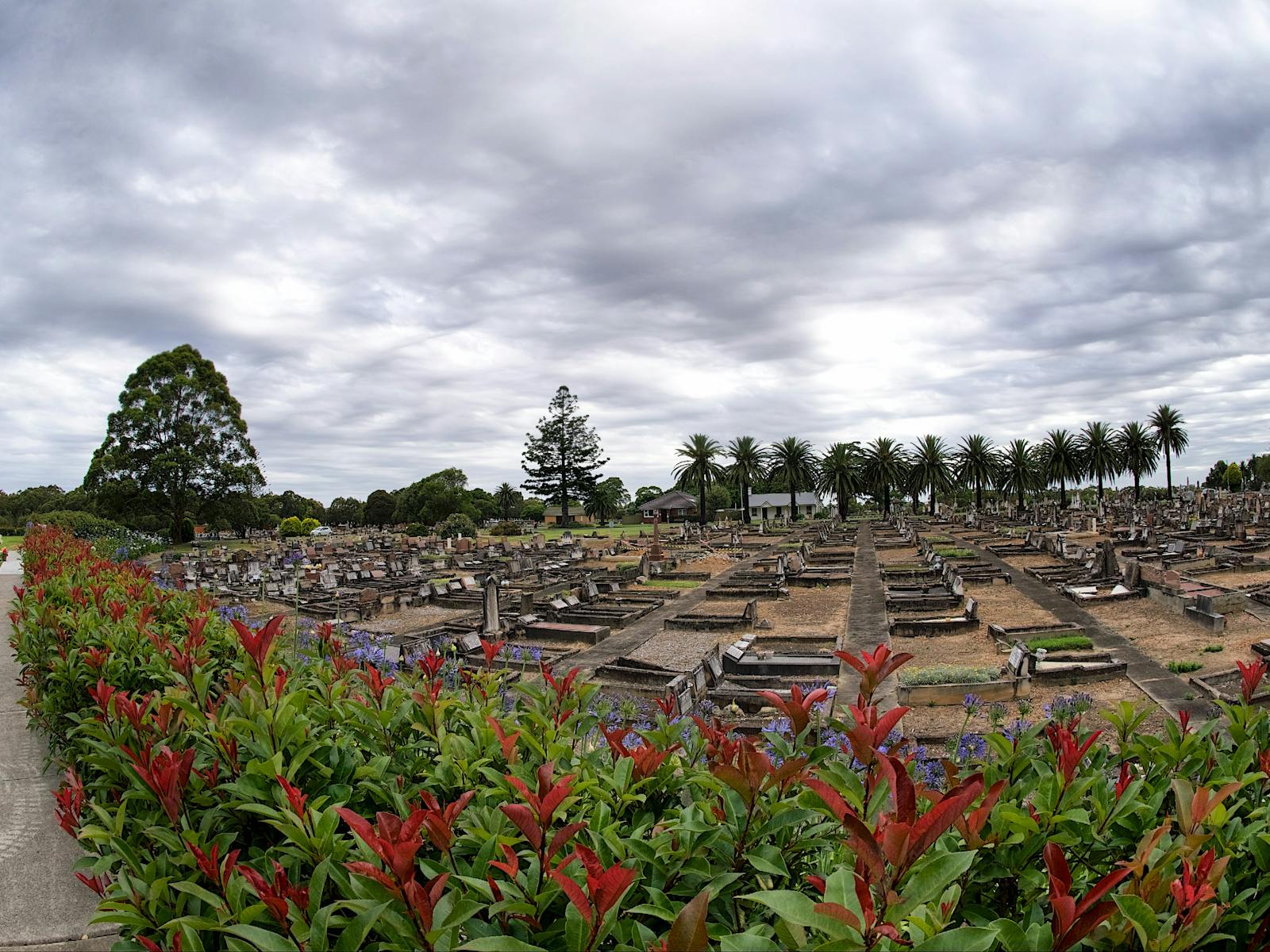 Picturesque Field of Mars Cemetery