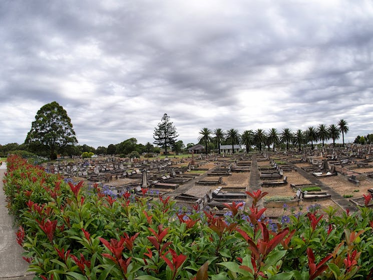 Picturesque Field of Mars Cemetery