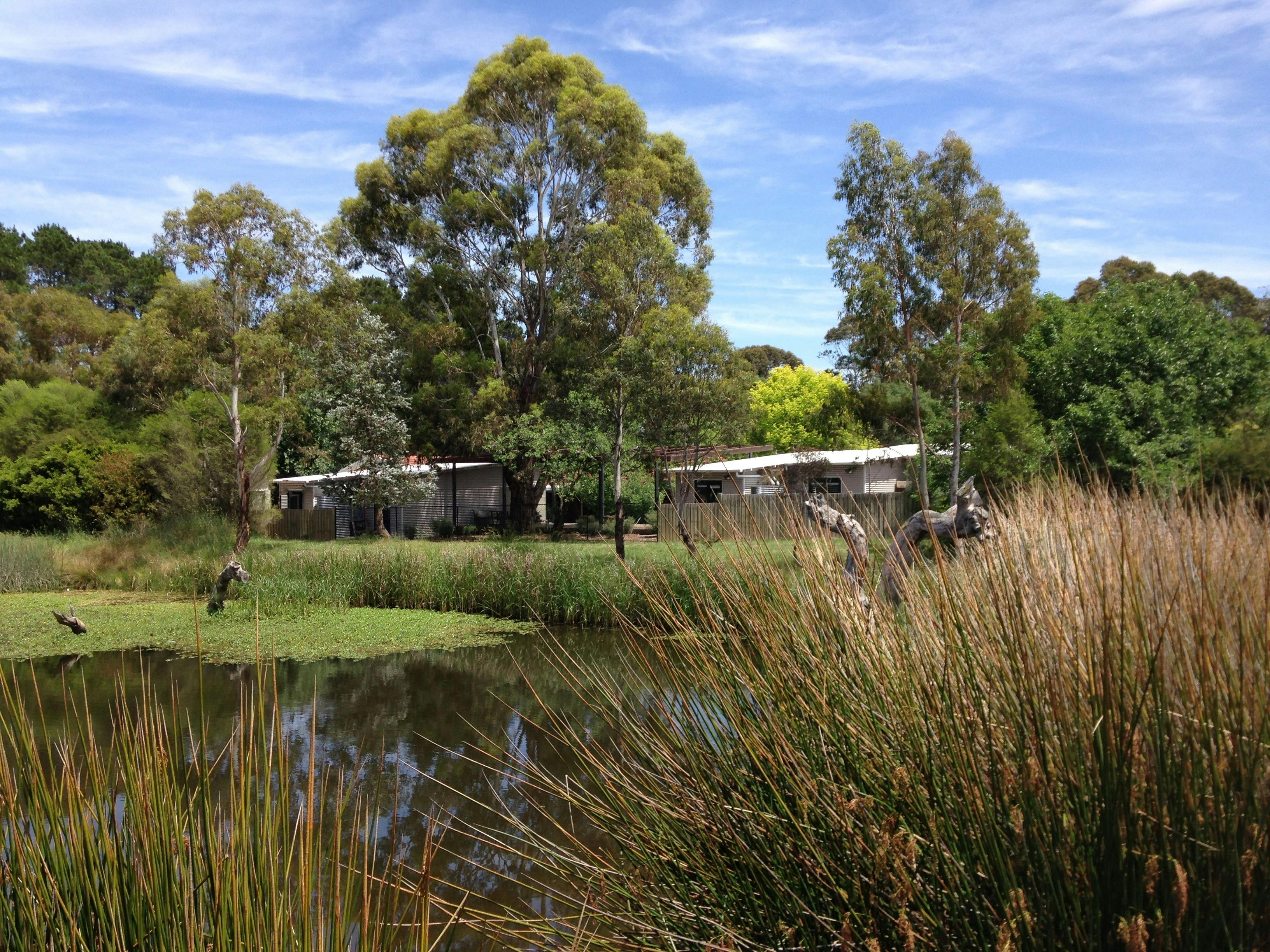 Wetlands with a large pond surrounded by grass and trees. Canberra Potters is in the background.