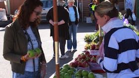 Bathurst Lions Farmers' Market