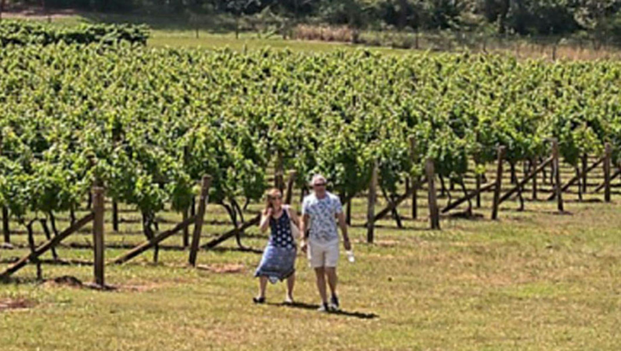 Secret Vines Experience