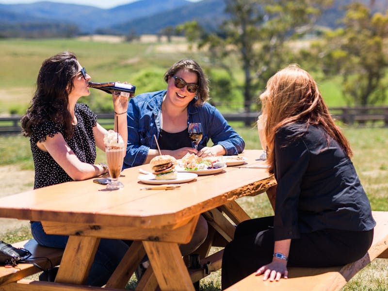 Enjoy lunch in the picturesque Pyengana Valley