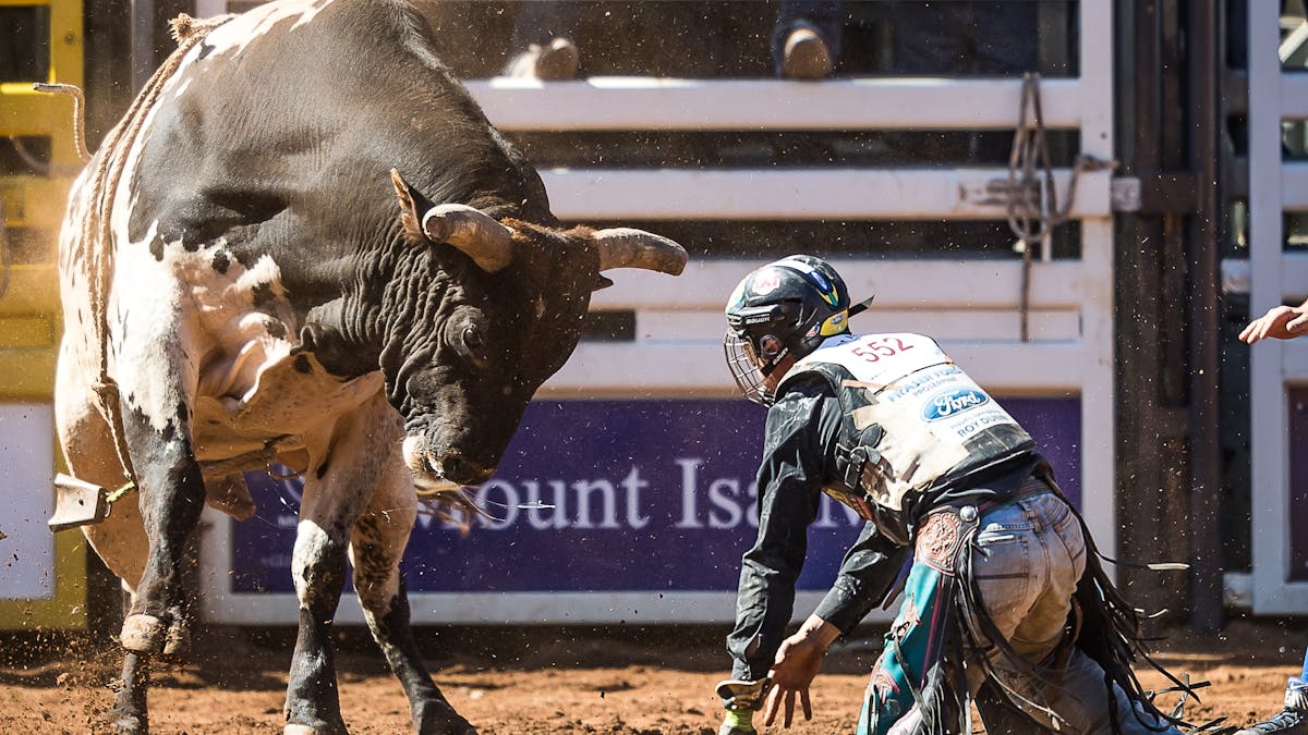 Wildcat Rodeo Mount 2026 Mount Isa Mines Rodeo | Events | Queensland
