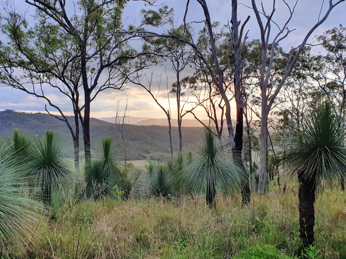 Walking track at Eighteen Mile