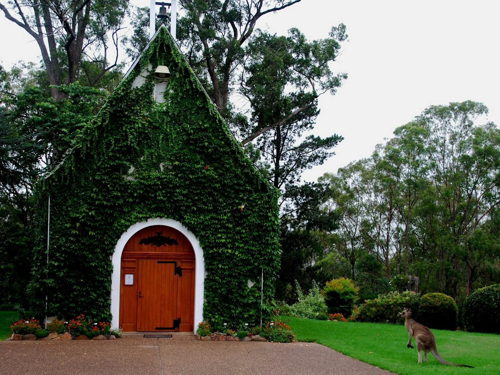 Kangaroo next to Shrine