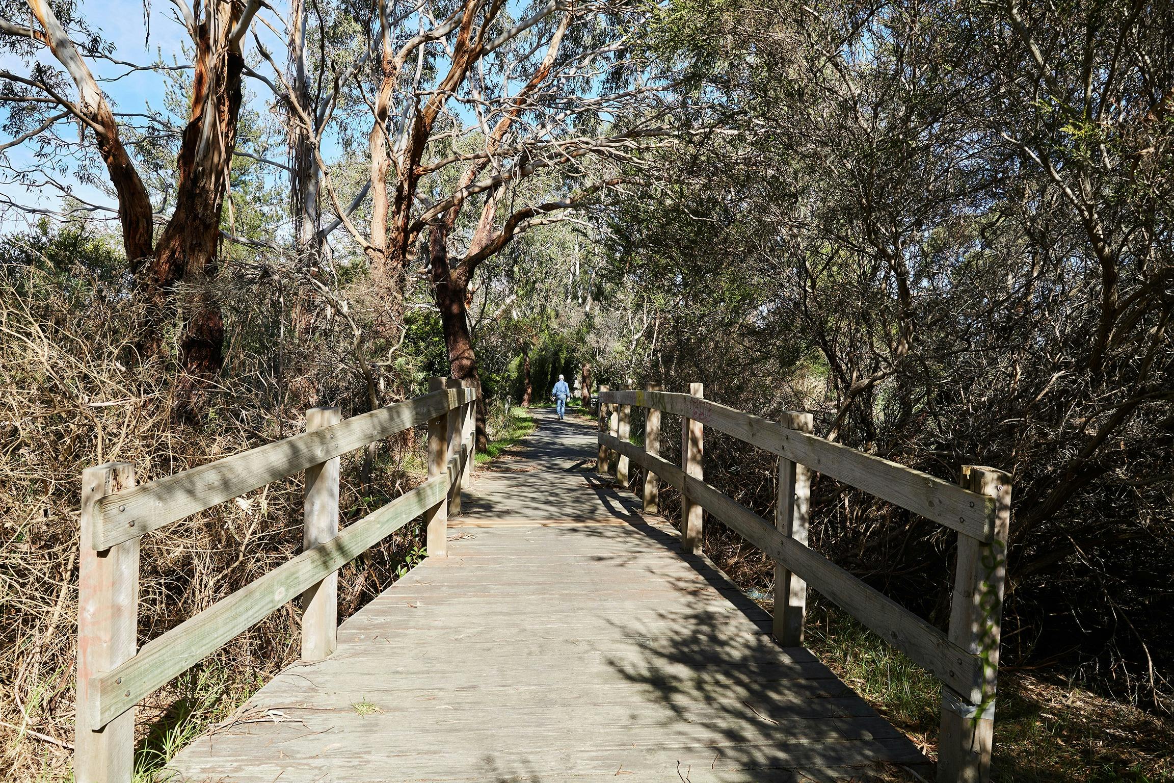 Bittern Trail (part of the Western Port Bay Trail)
