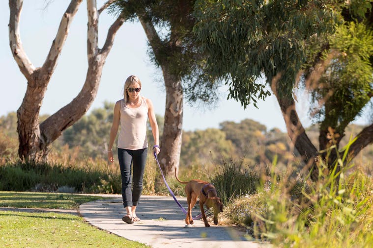 Meningie Walking and Cycling Trails