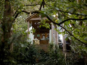 Treehouse Conservatory