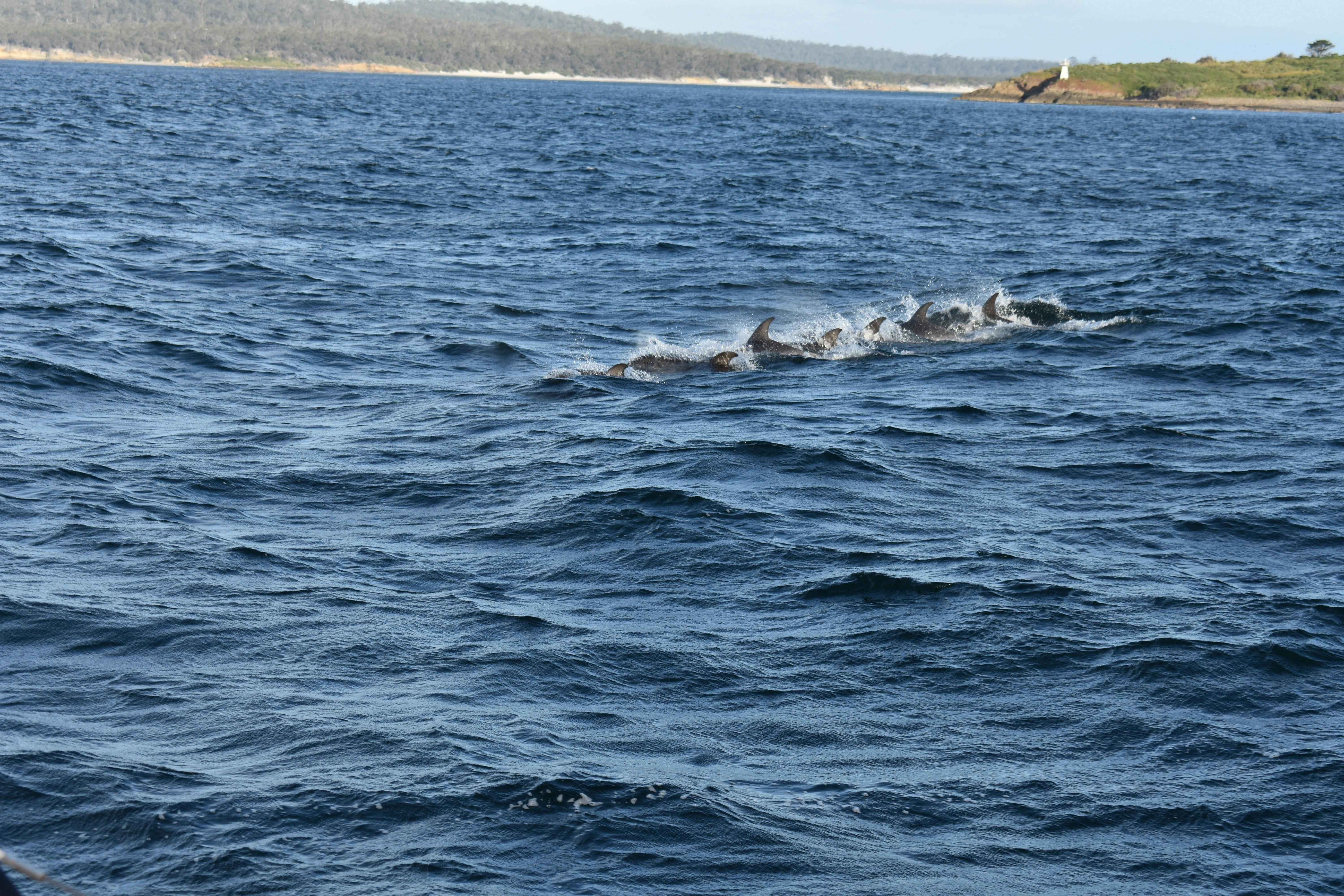 Sailing and Walking Adventure - March 2025