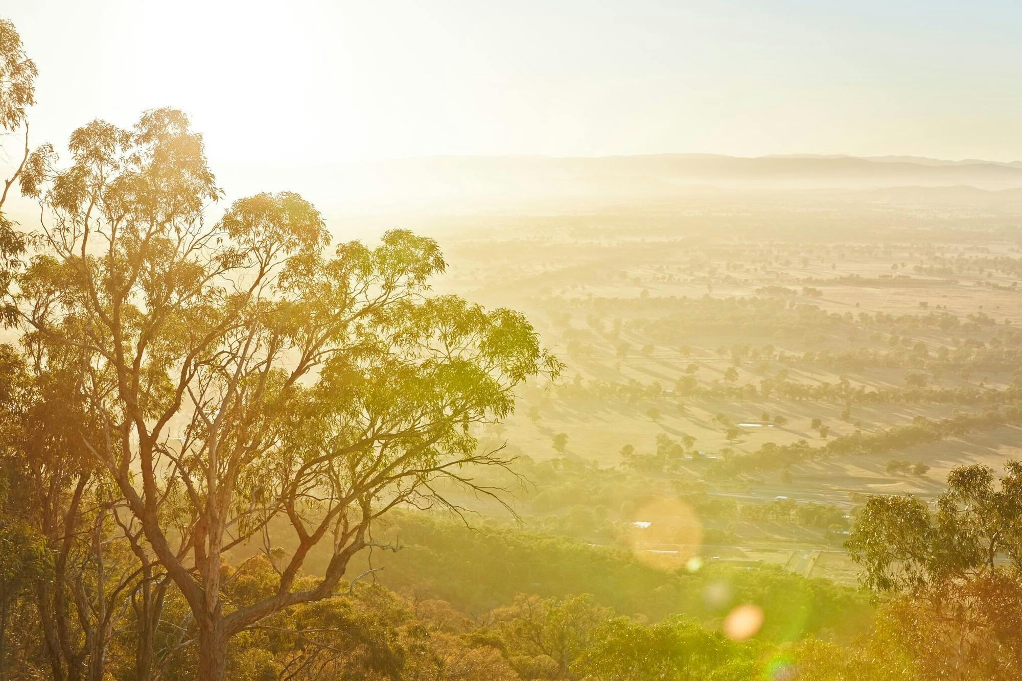 Mt Glenrowan sunrise, Glenrowan