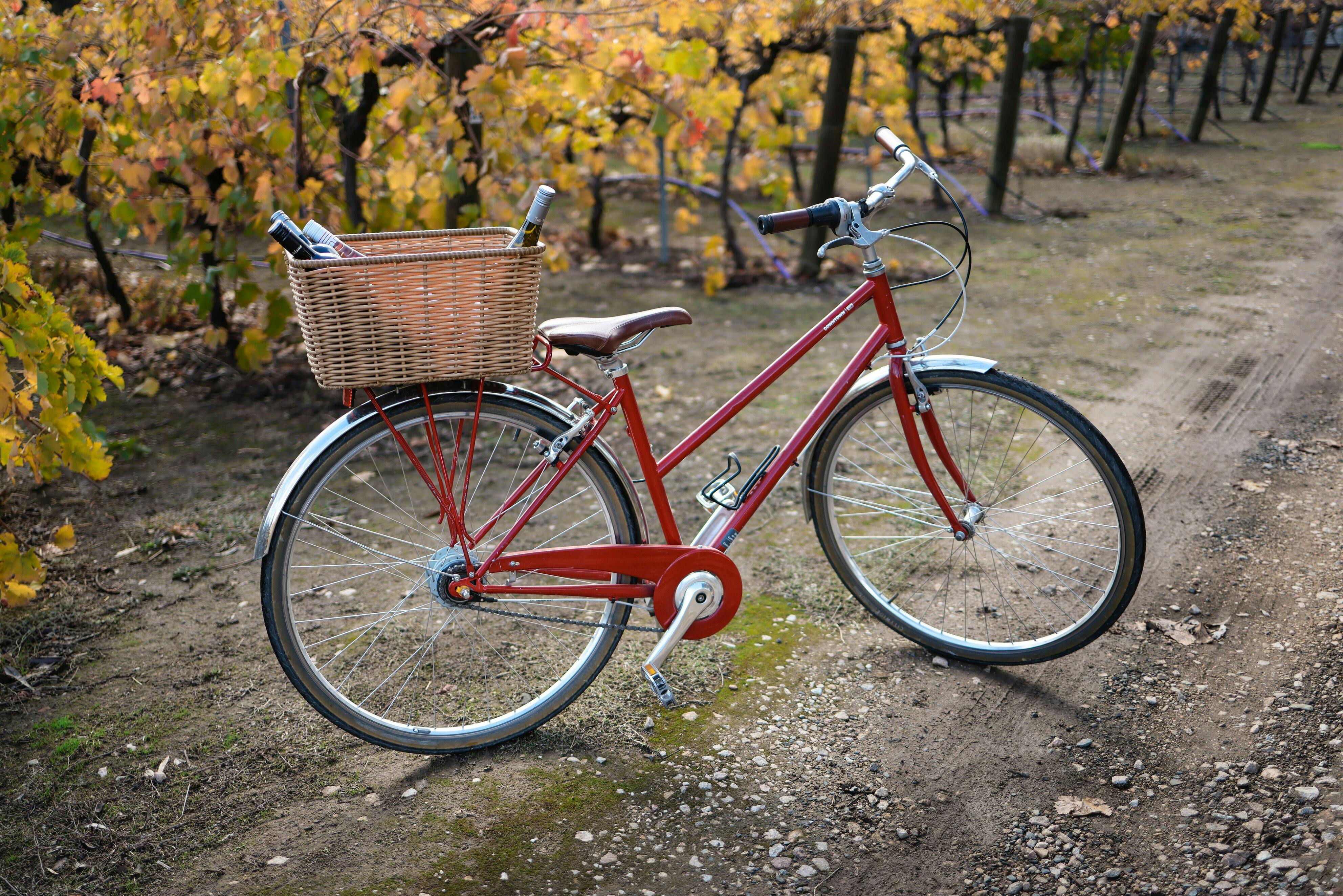 Bike in front of vines