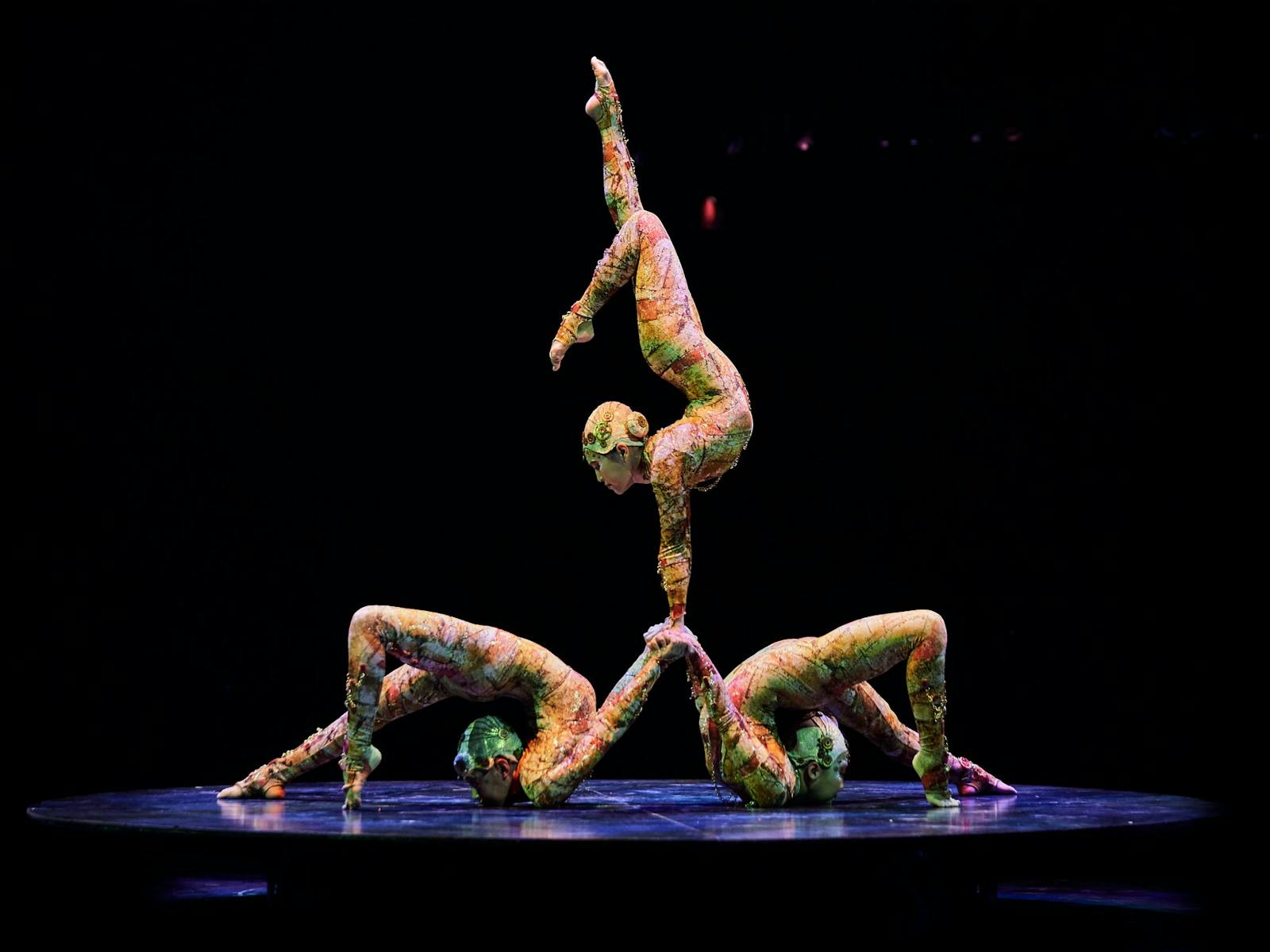 Cirque du Soleil 2024 Contorsion Cirque du Soleil 2024 Contorsion