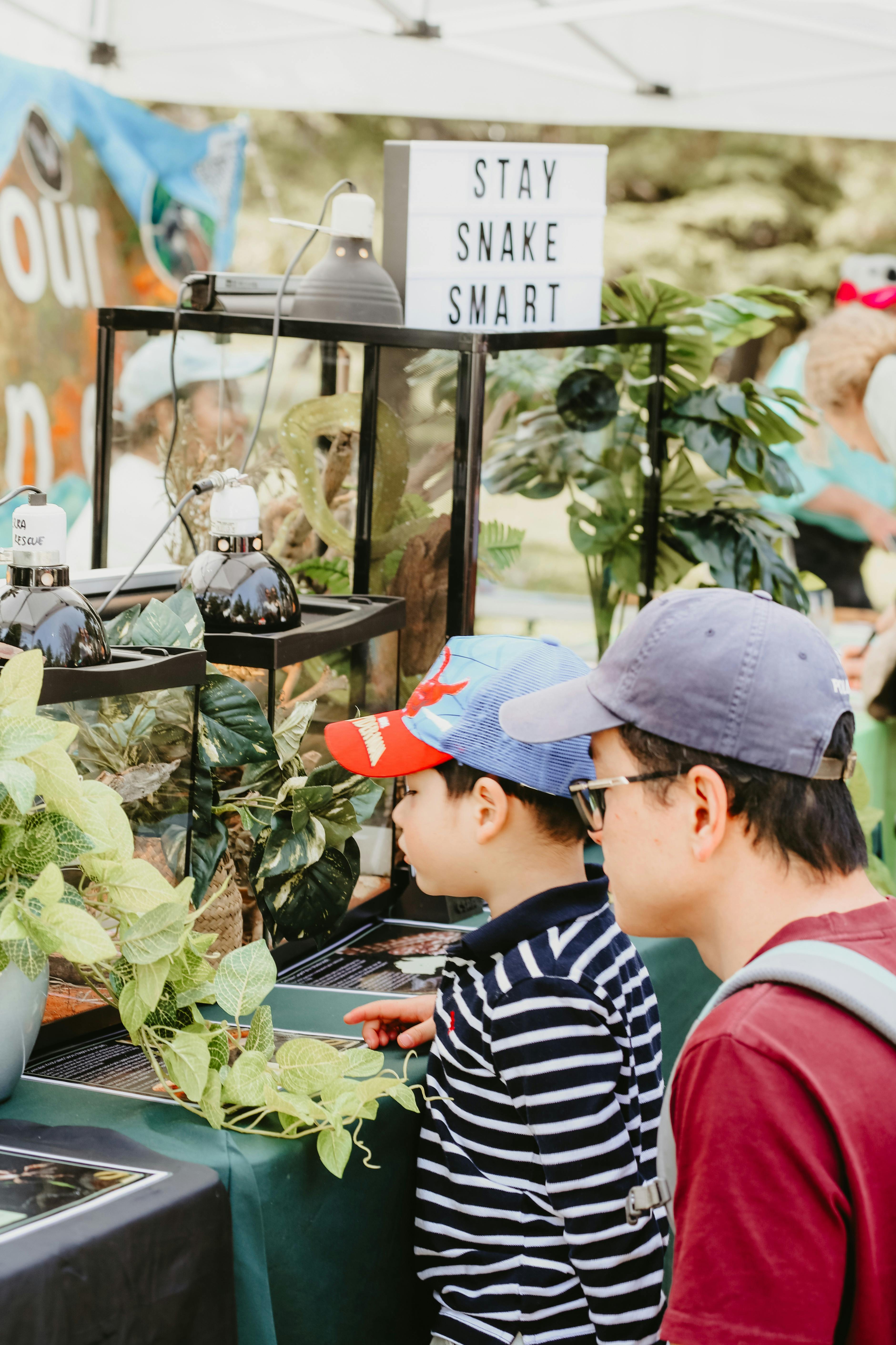 An image of a child and their carer looking at a snake display at the markets.