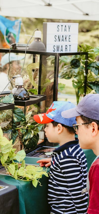 An image of a child and their carer looking at a snake display at the markets.