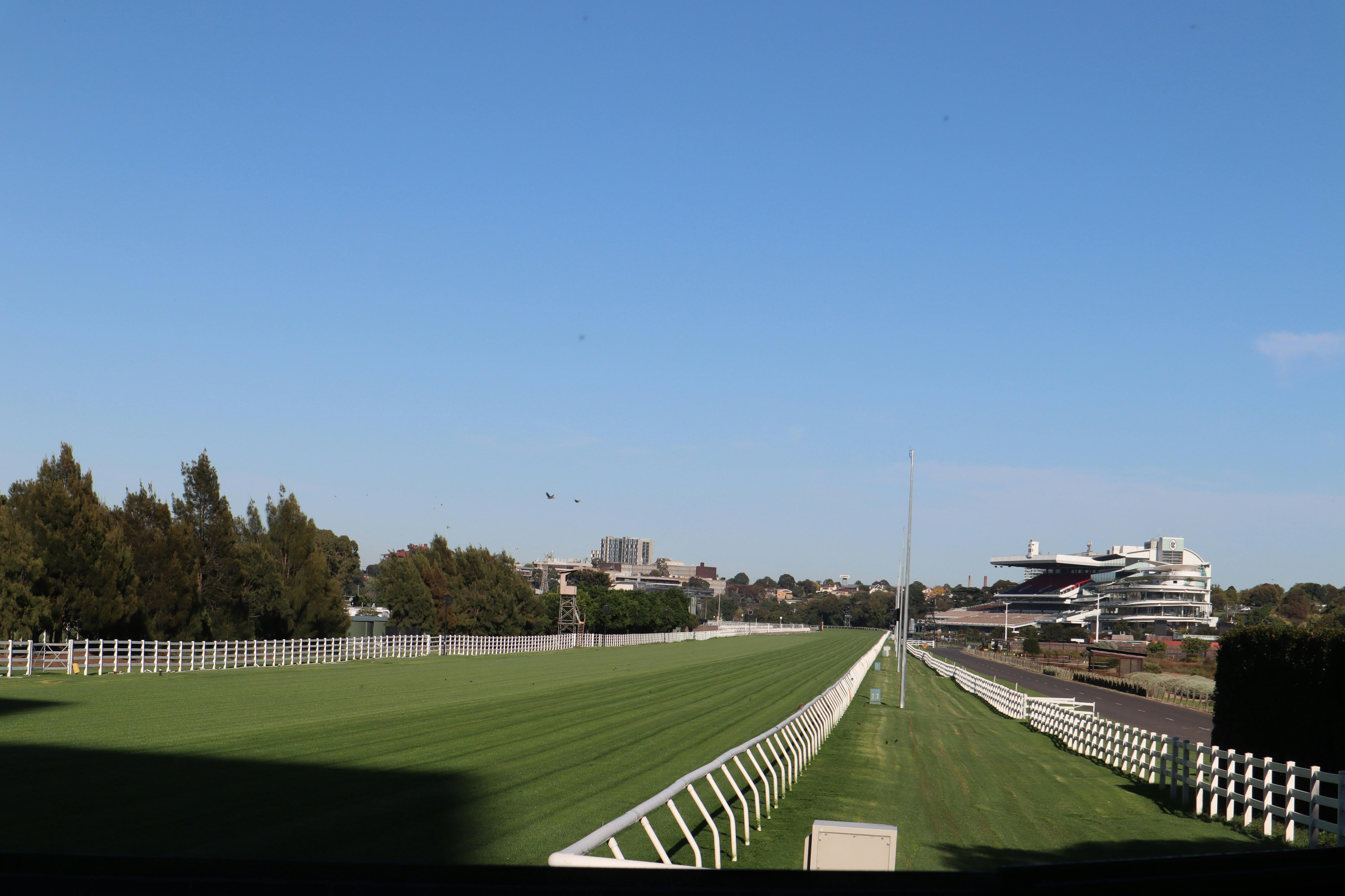 Final straight at Flemington Racecourse