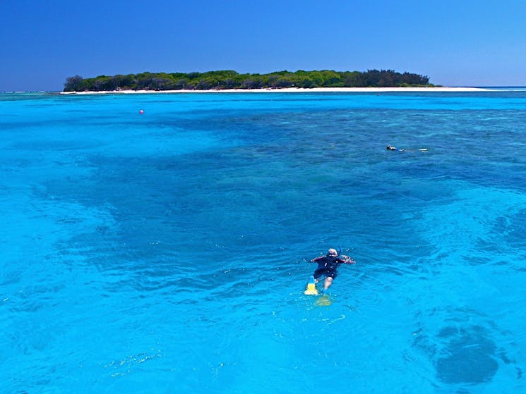 Lady Musgrave Island, Queensland