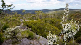 Murphys Trail, Wentworth Falls to Woodford