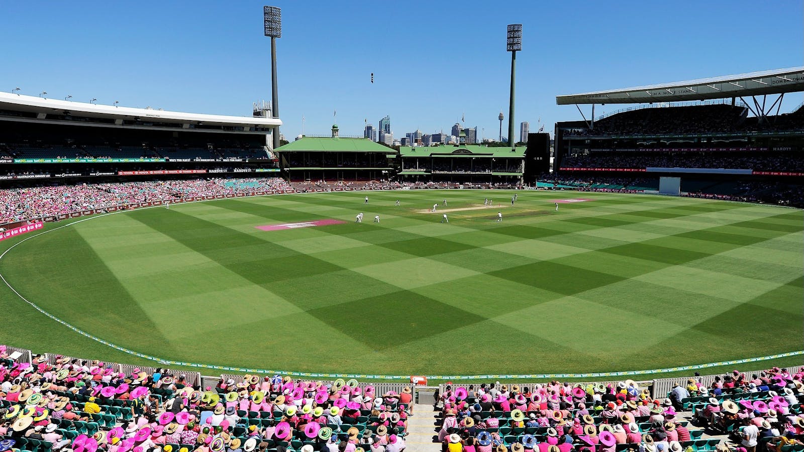 Image for Domain Pink Test Match: Australia vs New Zealand