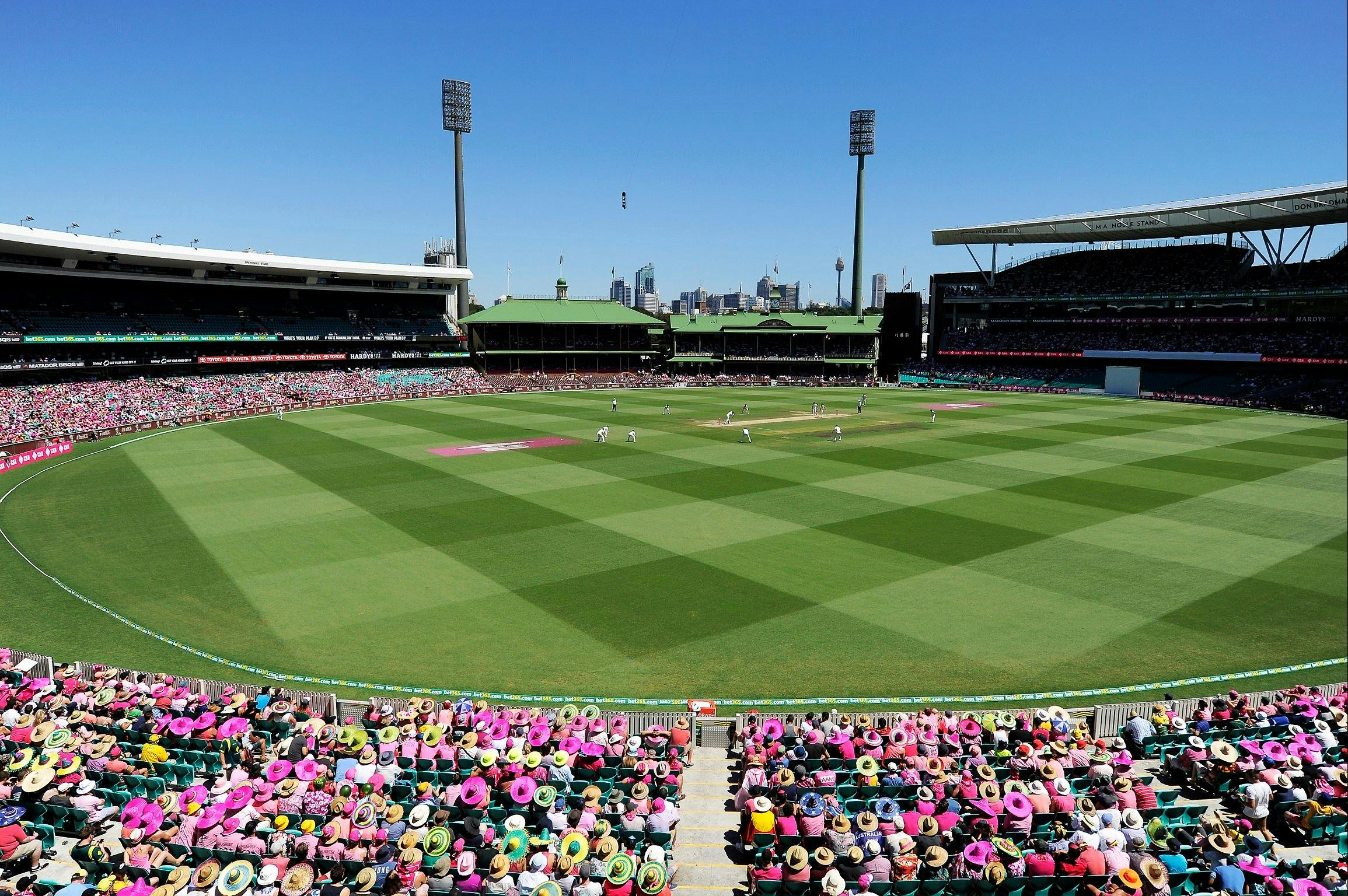 Domain Pink Test Match Australia vs New Zealand Sydney, Australia