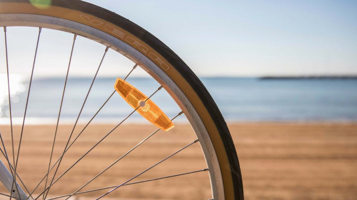 A bike wheel in front of the beach, on the Moreton Bay Cycleway