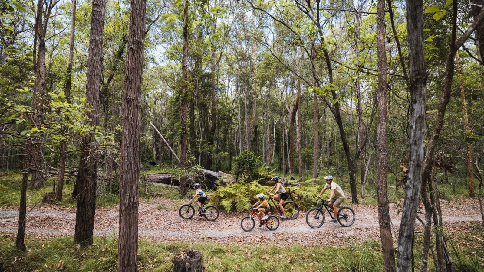Family of four cycling with helmets through Don and Christine Burnett Conservation Area trails Family of four cycling with helmets through Don and Christine Burnett Conservation Area trails