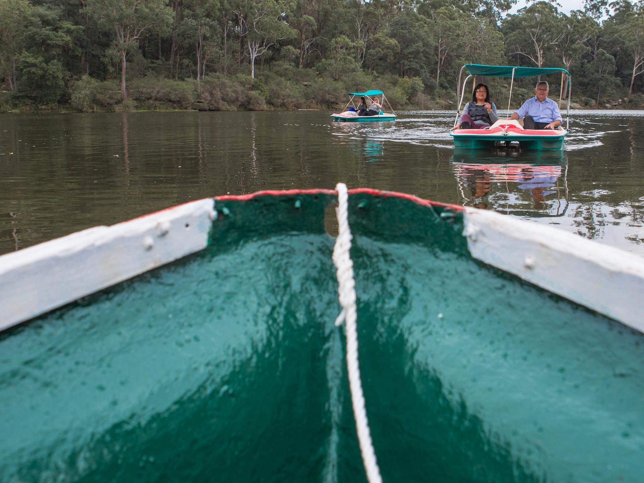 Parramatta Rowboat Kayak and Pedalboat Hire