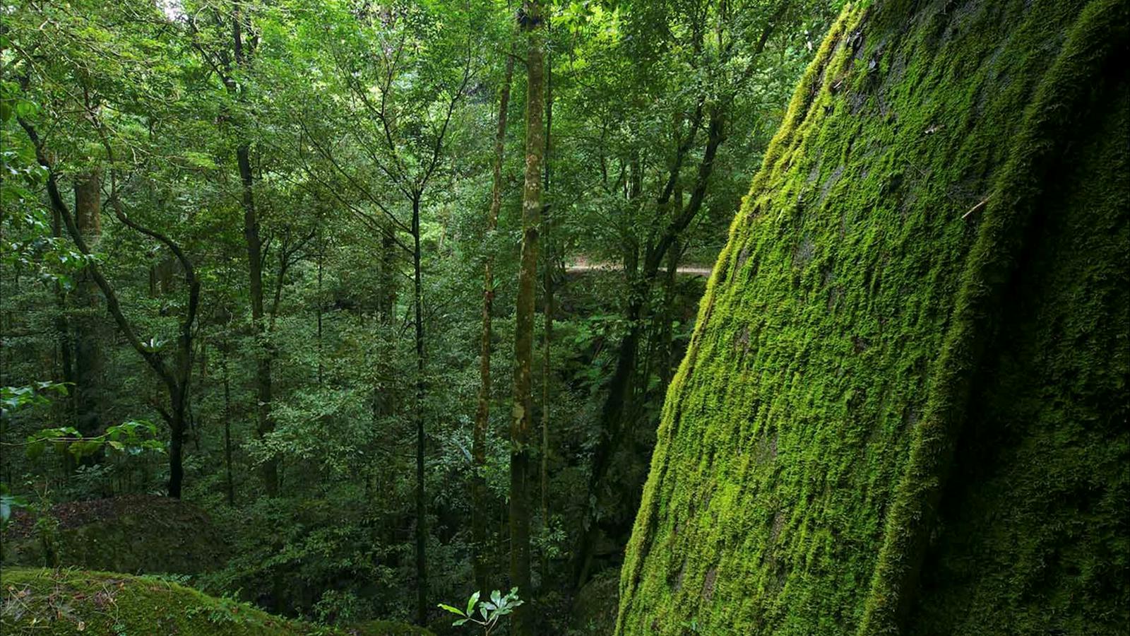 North Queensland Wildscapes Phototours