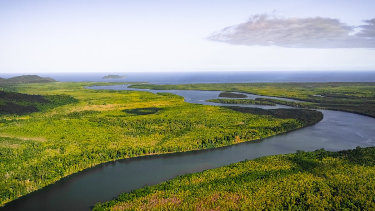 Daintree River