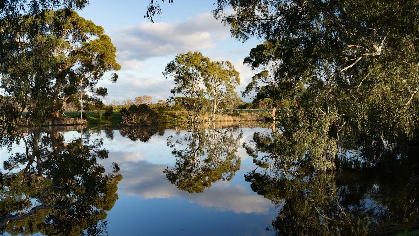 Duck Lagoon