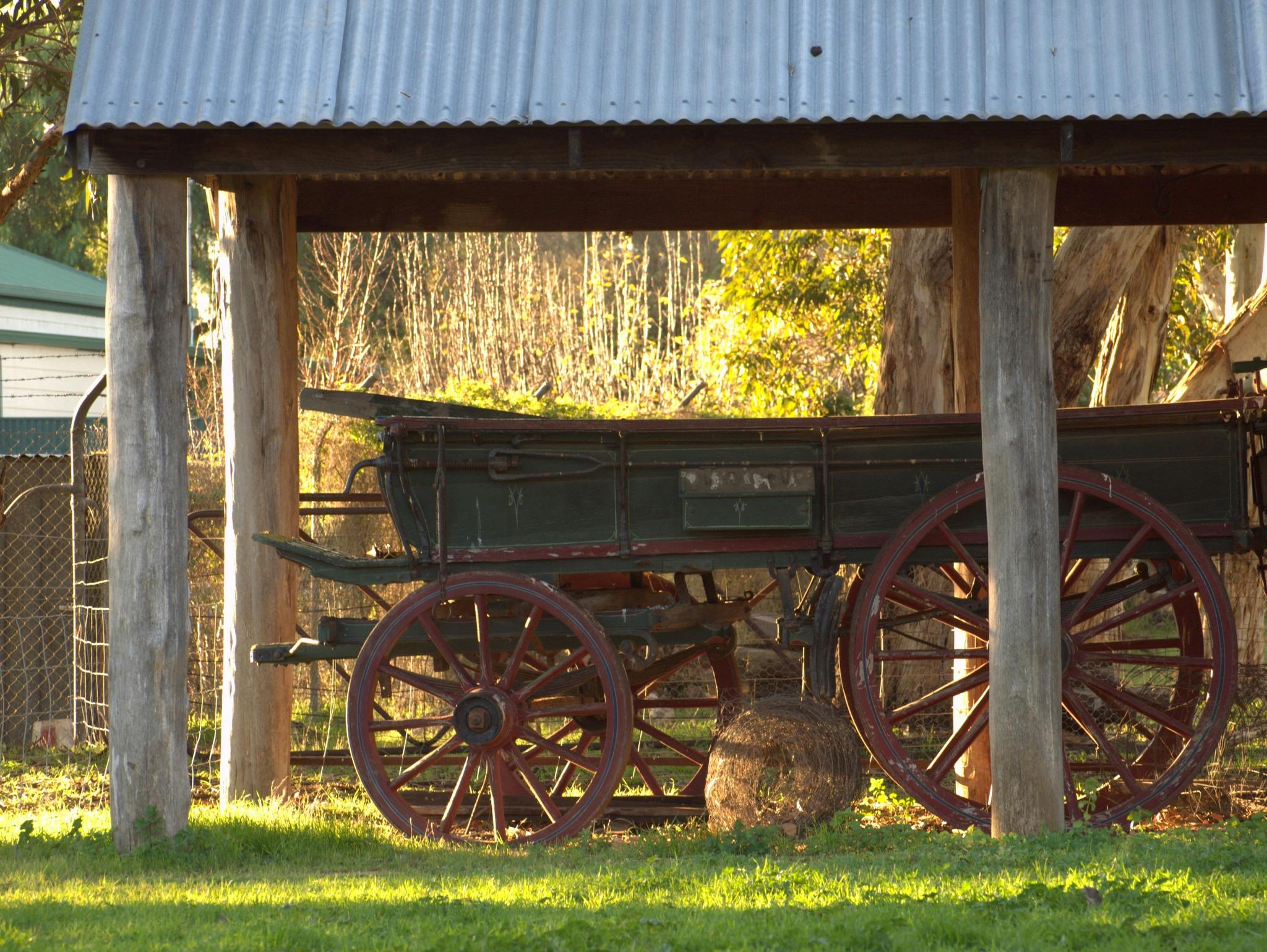 Penola Walk with History