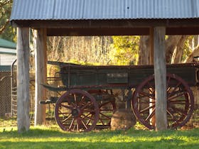 Horse Drawn Vehicle