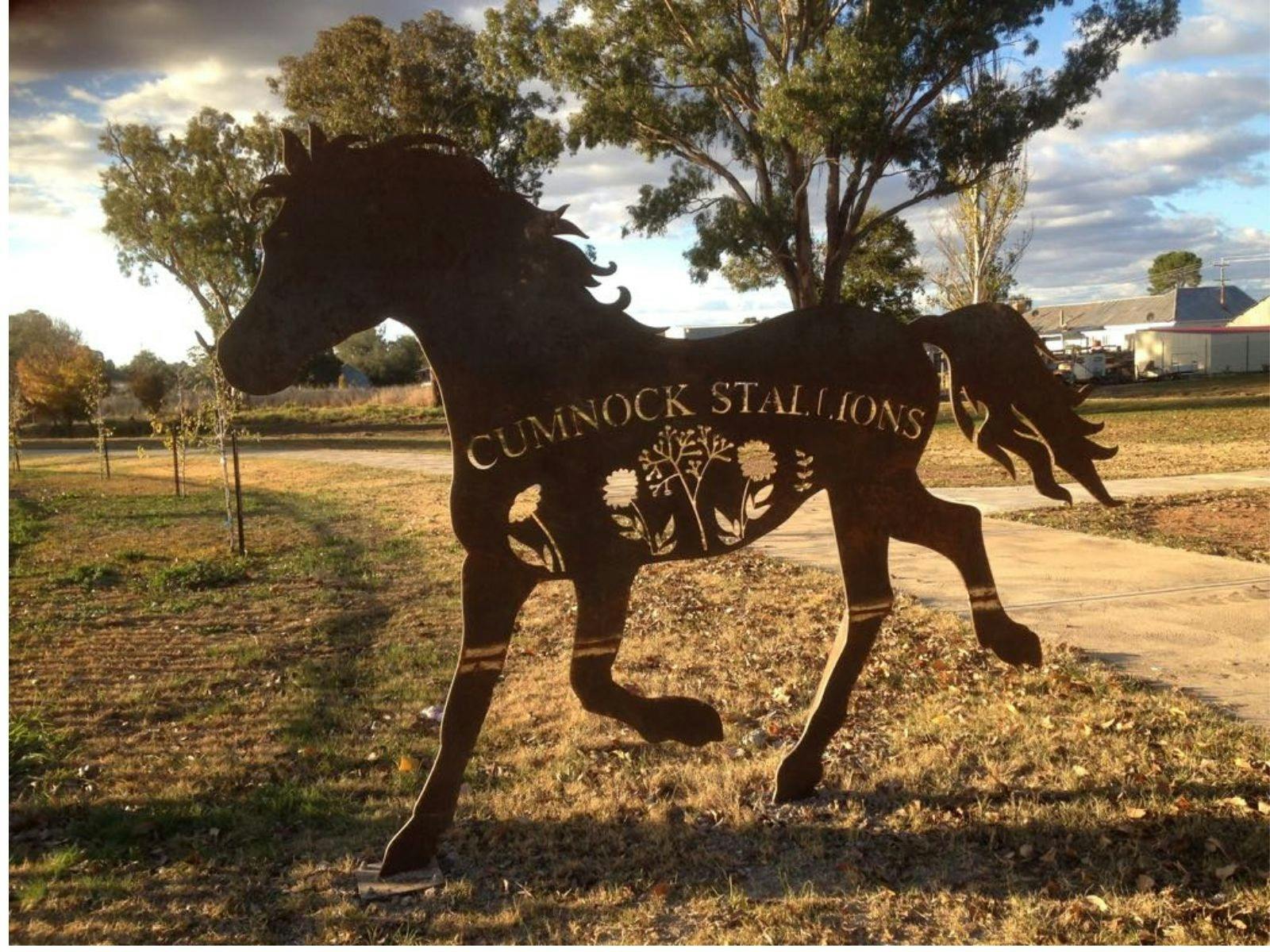 Cumnock Stallions sign