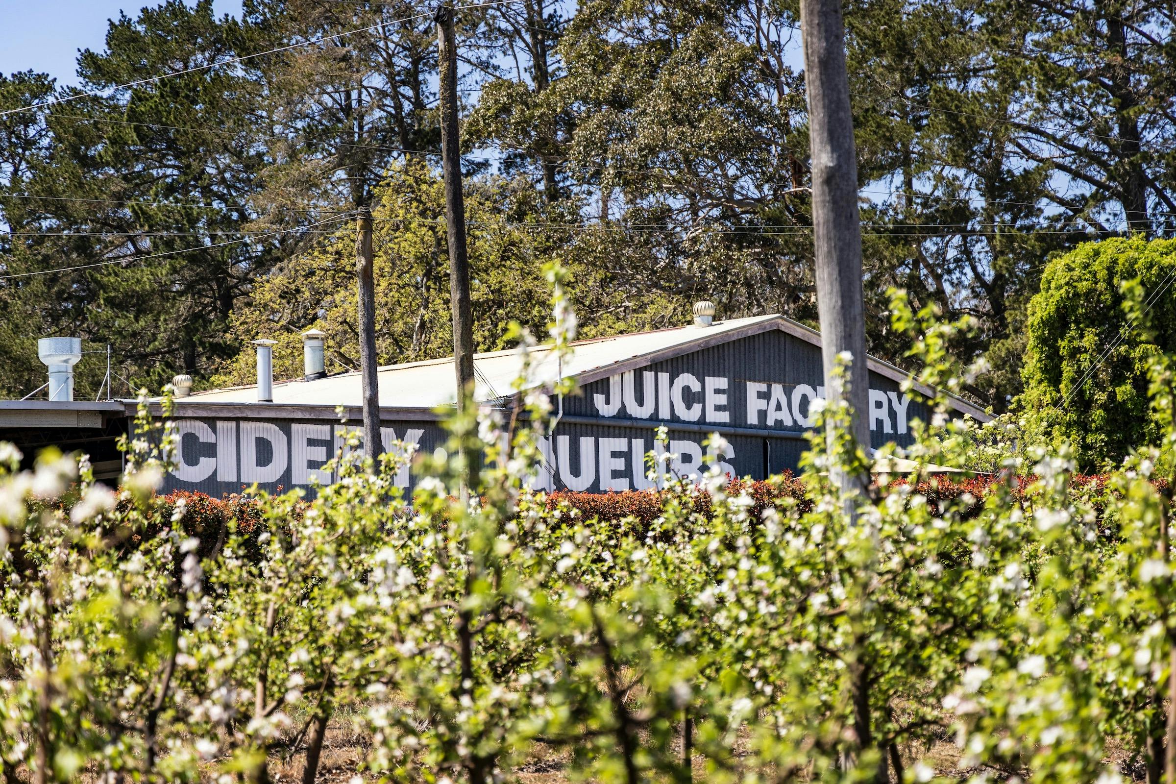Suttons Juice Factory and Cidery Granite Belt Wine Country