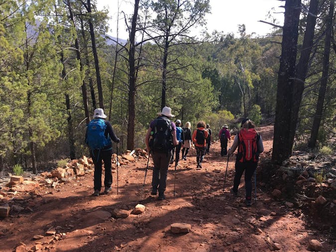Weekend & Wednesday Wellness Walks