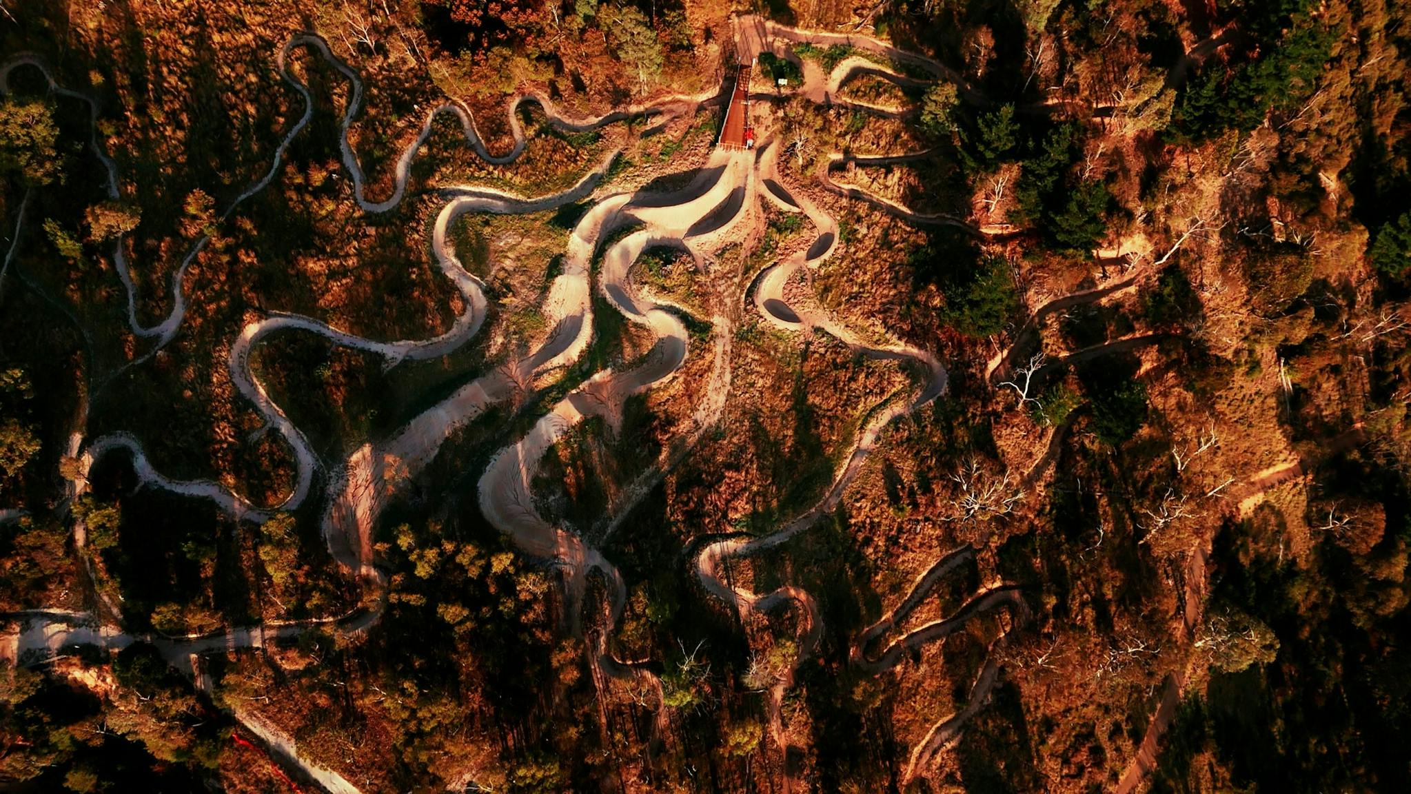 Omeo MTB Park trails