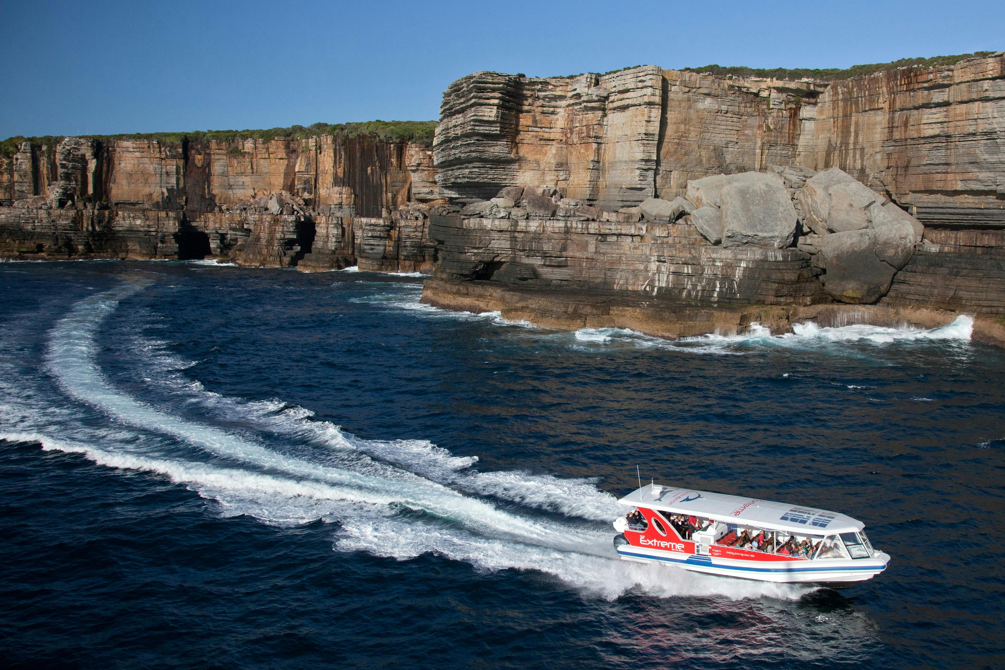 Eco-Explorer 'Seal and Sea Cliff' Cruise