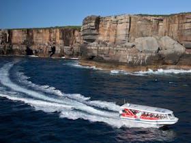 Explorer boat passes by high sea cliffs